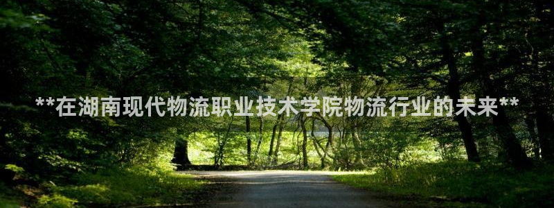 28圈赌博被抓：**在湖南现代物流职
