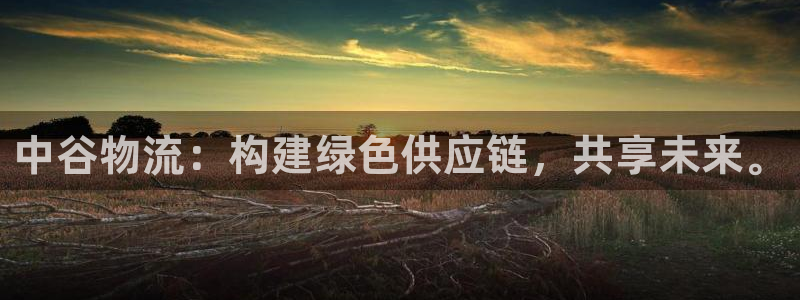 28圈加拿大走势：中谷物流：构建绿色