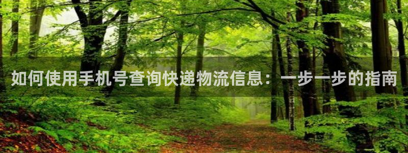 28圈下载不了：如何使用手机号查询快