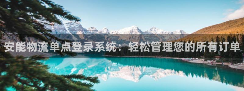 28圈头像：安能物流单点登录系统：轻