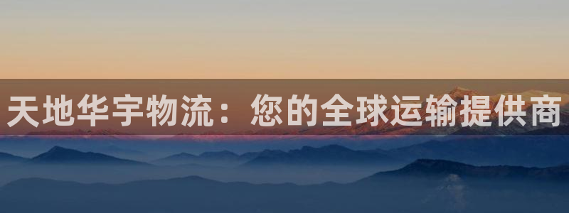 28圈头像：天地华宇物流：您的全球运