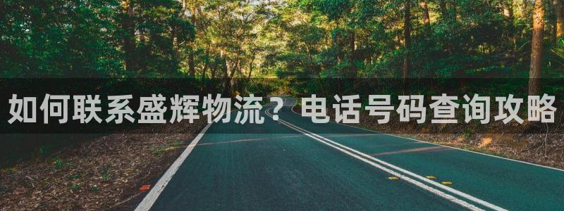 28圈网站平台：如何联系盛辉物流？电
