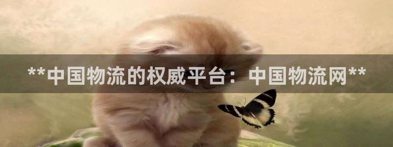 28圈pc预测：**中国物流的权威平