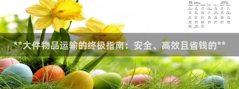 28圈加拿大6.0：**大件物品运输