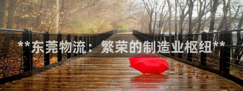 28圈注册网站多少：**东莞物流：繁
