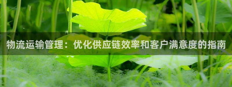 28圈推广链接是多少：物流运输管理：