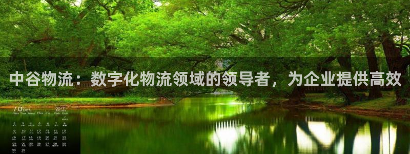 28圈旗下