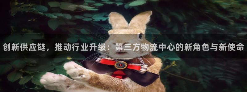 28圈p图上分下款通道：创新供应链，