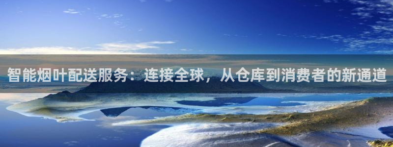 麻将128圈：智能烟叶配送服务：连接
