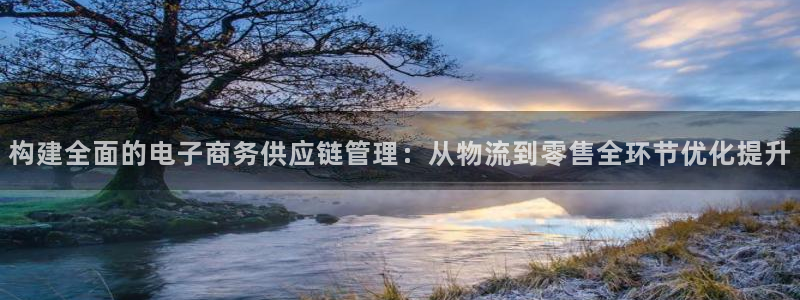 28圈充值不到账：构建全面的电子商务