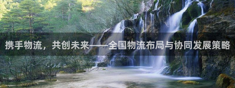 28圈口：携手物流，共创未来——全国
