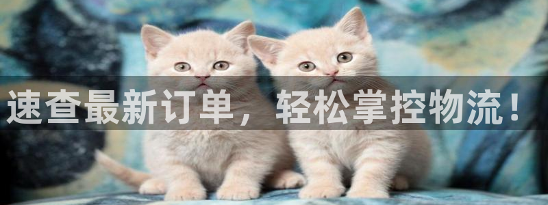 28圈官网版所有版本：速查最新订单，