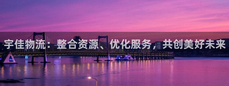 28圈入口问一问：宇佳物流：整合资源