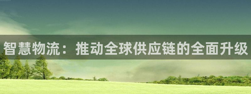 28圈登录用户名登录不上：智慧物流：