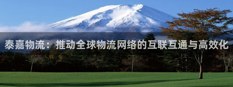 28圈注册步骤：泰嘉物流：推动全球物