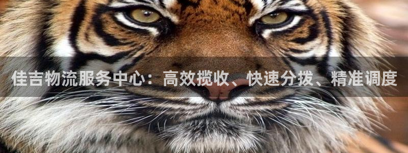 28圈登录用户名登录不上：佳吉物流服