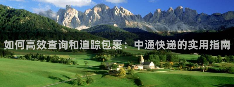 28圈是南宫旗下的吗：如何高效查询和