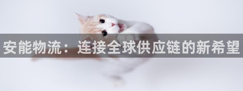 28圈图片：安能物流：连接全球供应链