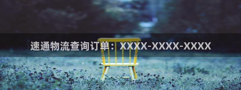 28圈cn：速通物流查询订单：XXX