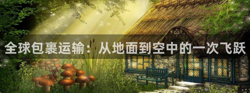 28圈二维码：全球包裹运输：从地面到空中的一次飞跃