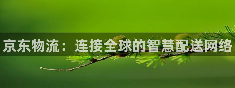 28圈v6能卖多少：京东物流：连接全