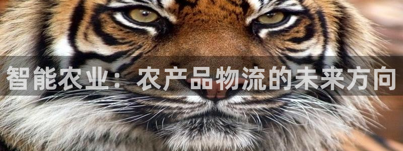 28圈麻将胡了在线试玩：智能农业：农