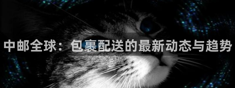28圈充值不处理：中邮全球：包裹配送