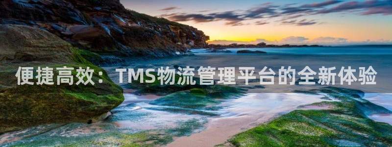 28圈充值不处理：便捷高效：TMS物