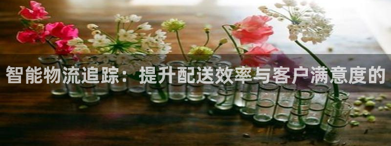 28圈注册链接：智能物流追踪：提升配