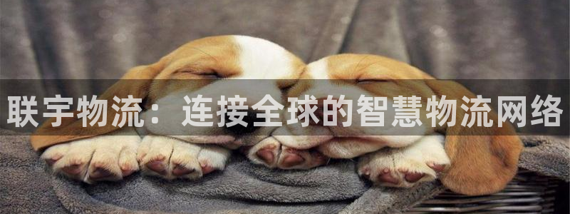 28圈反水怎么算：联宇物流：连接全球