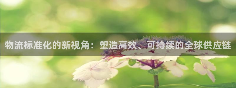 28圈注册网站多少钱：物流标准化的新