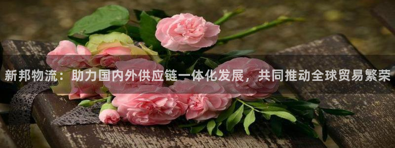 28圈官网预测：新邦物流：助力国内外