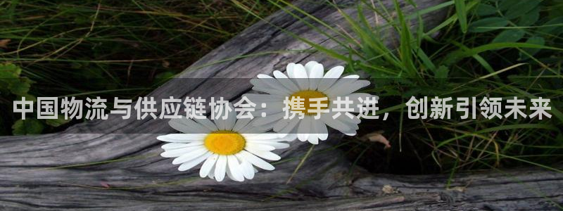 28圈电子游戏：中国物流与供应链协会：携手共进，创新引领未来