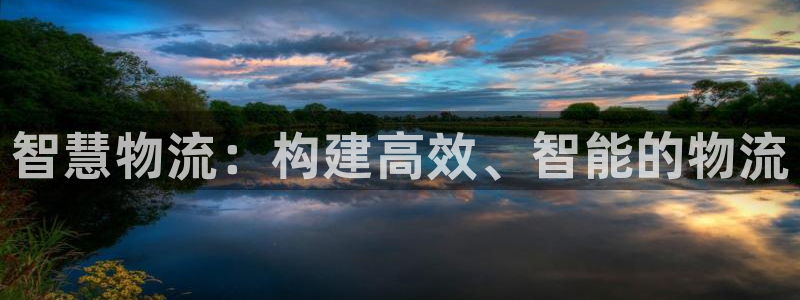 28圈合法吗：智慧物流：构建高效、智