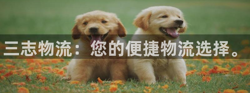 28圈预测：三志物流：您的便捷物流选