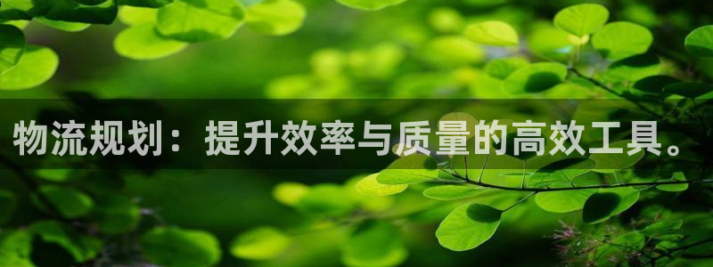 28圈官网版2024：物流规划：提升