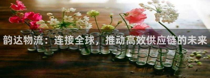 28圈加拿大app预测：韵达物流：连