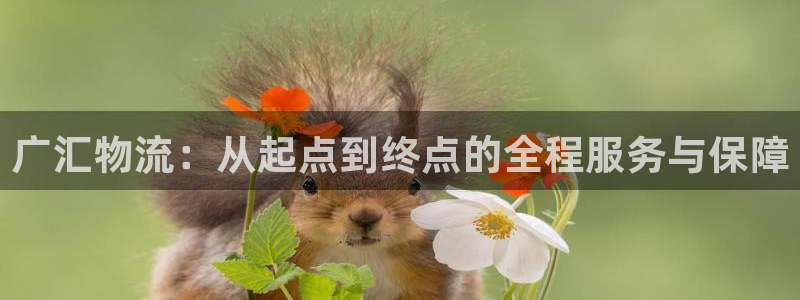 28圈是正规平台吗：广汇物流：从起点