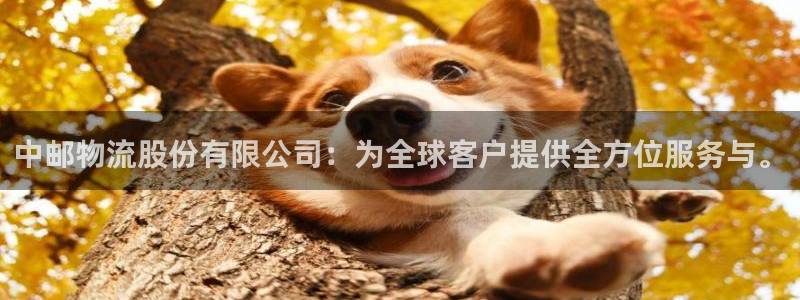 28圈游戏：中邮物流股份有限公司：为全球客户提供全方位服务与