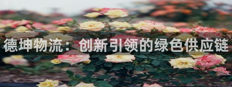 28圈二维码：德坤物流：创新引领的绿