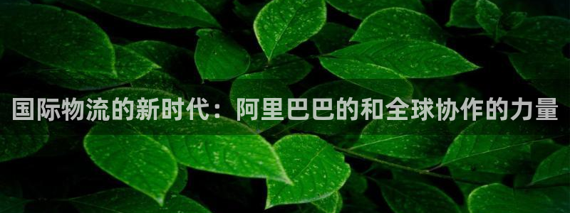 28圈稳吗：国际物流的新时代：阿里巴