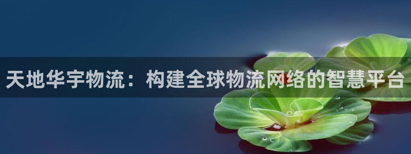 28圈退款教程：天地华宇物流：构建全