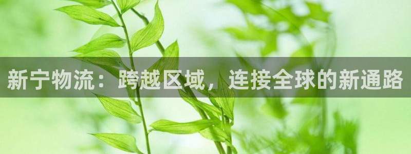 28圈注册网址百度知道：新宁物流：跨
