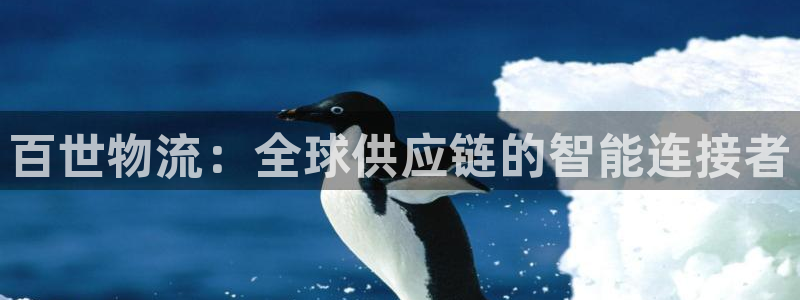 南宫28圈官网版