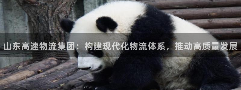 28圈链接来一个：山东高速物流集团：构建现代化物流体系，推动