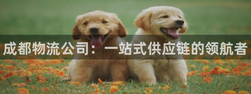 28圈注册流程：成都物流公司：一站式