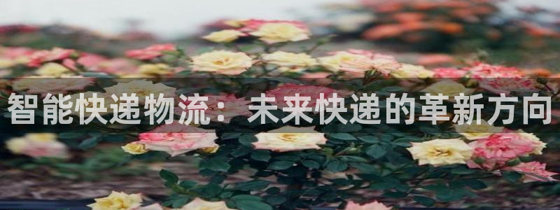 28圈登陆网：智能快递物流：未来快递