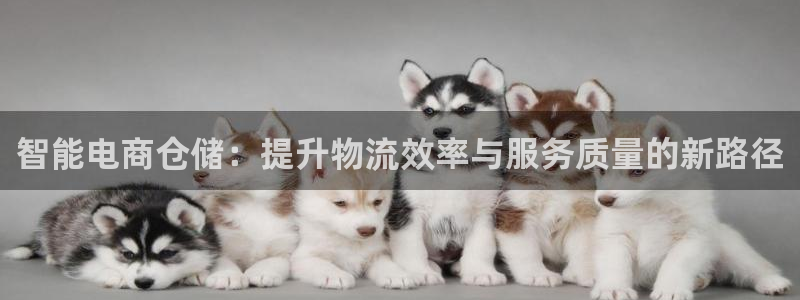 28圈充值为什么充不了：智能电商仓储