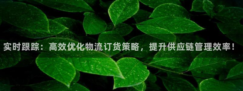 28圈软件是诈骗吗：实时跟踪：高效优