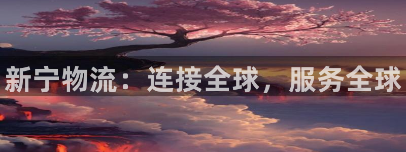 28圈麻将胡了在线试玩：新宁物流：连